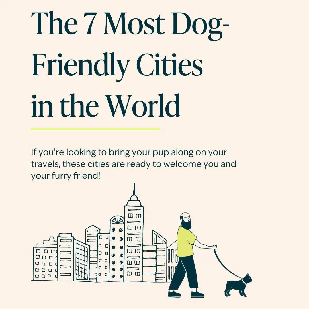 dog-friendly cities world ig post
