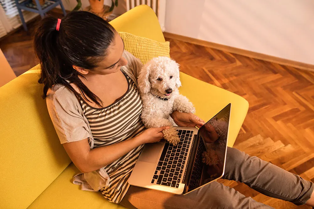 Pets & Work From Home: Advice & Preparing For Its End