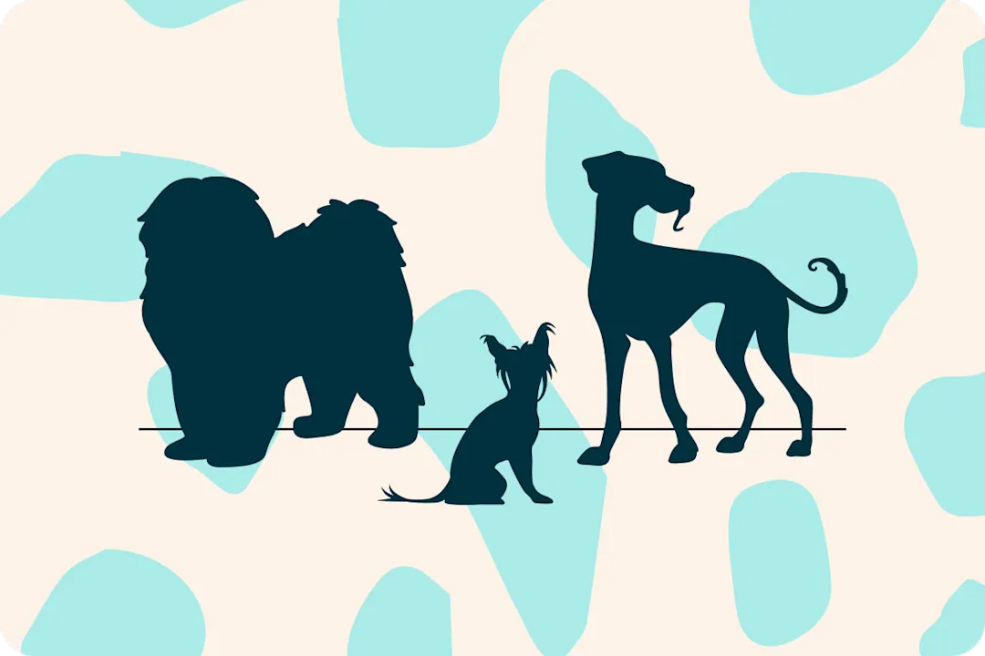 Canine Experts Discover Three New Dog Breeds in 2024