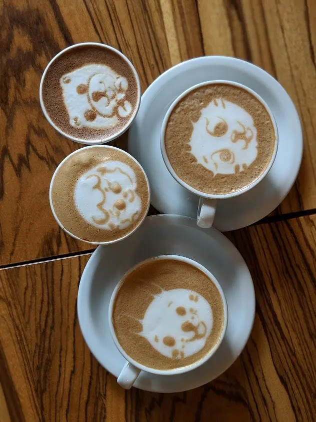 Moore Coffee has the best latte art and is pup friendly.