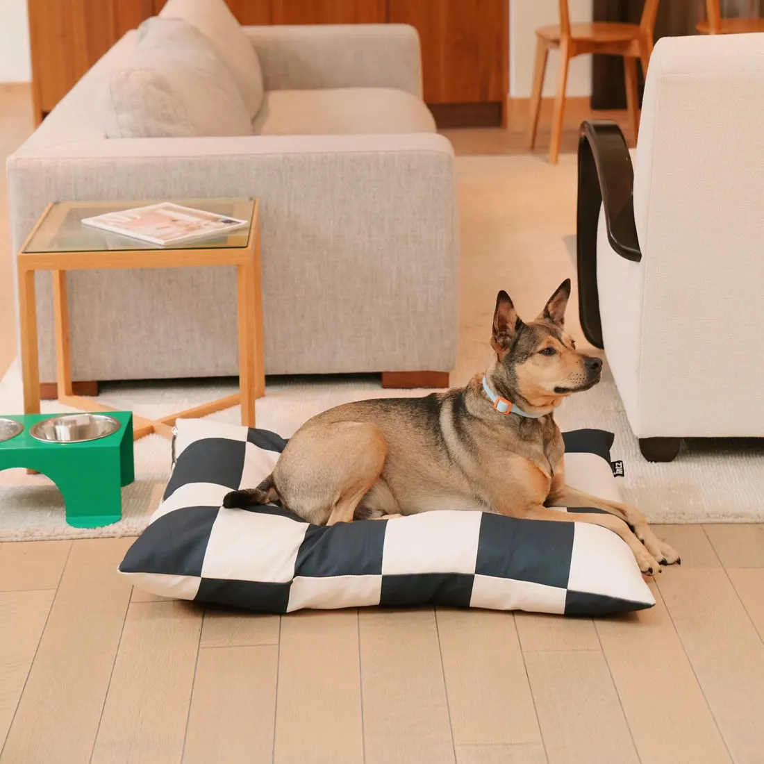 checkered dog bed with dog laying on top