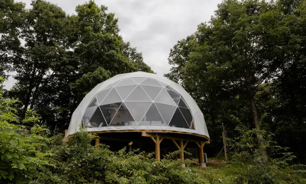 The Coolest PetFriendly Airbnbs in North Carolina