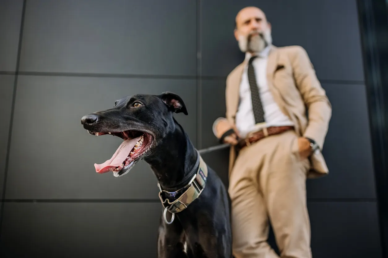 Man standing with black greyhound in foreground on leash