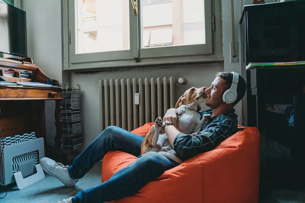 What is Spotify for Pets?