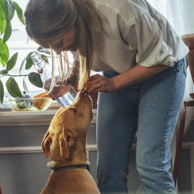 Lady giving a dog a treat