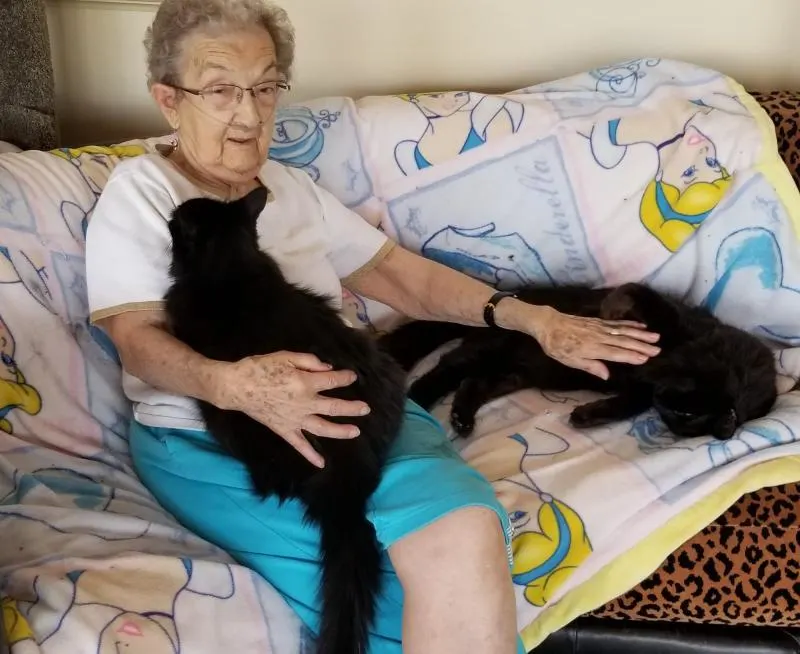 senior woman with two cats on couch