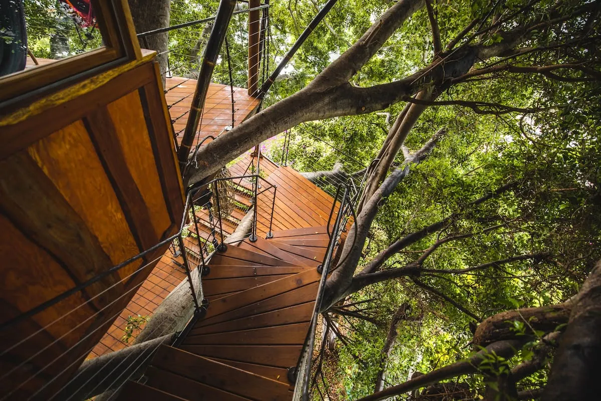treehouse staircase in the forest