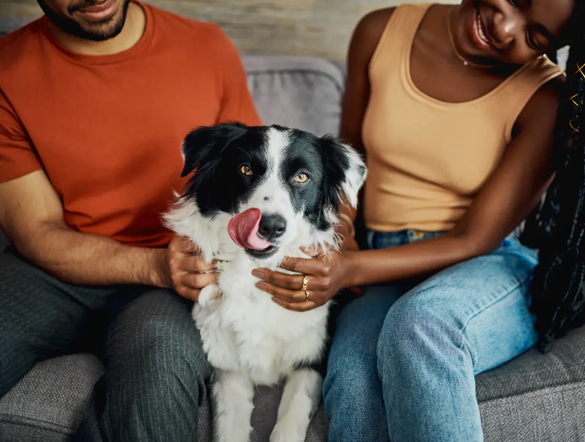 Dog with two owners on couch