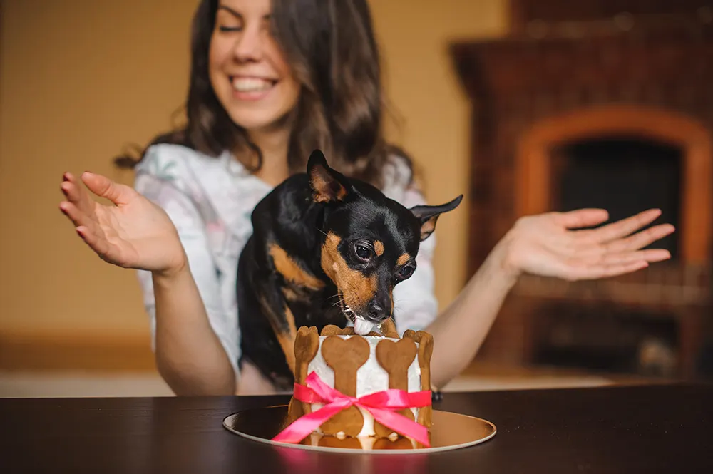 National Pet Month: Show your pets you care!