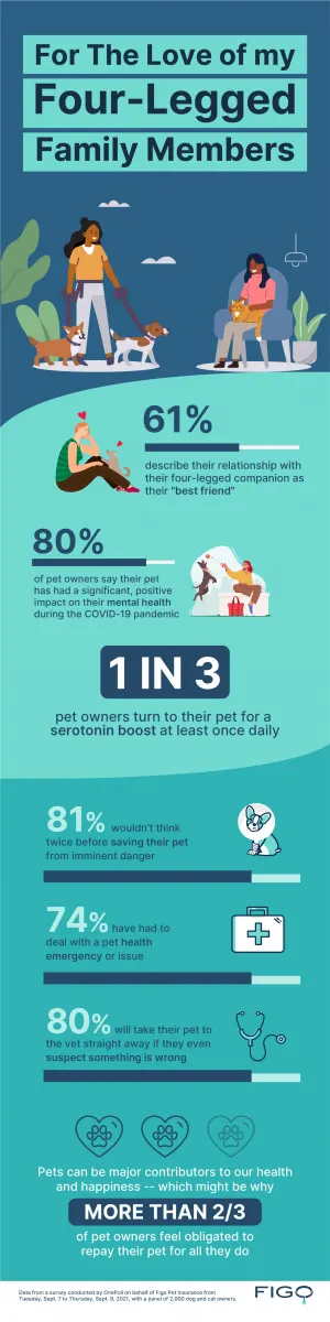 infographic describing the connection between pets and mental health