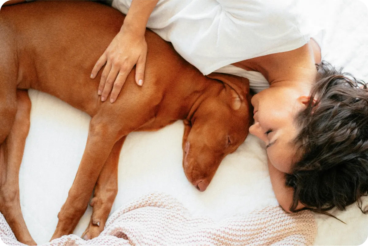 Woman and Viszula nap peacefully in bed