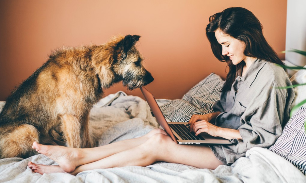 Working From Home: 9 Ways to Best Support Your Pets