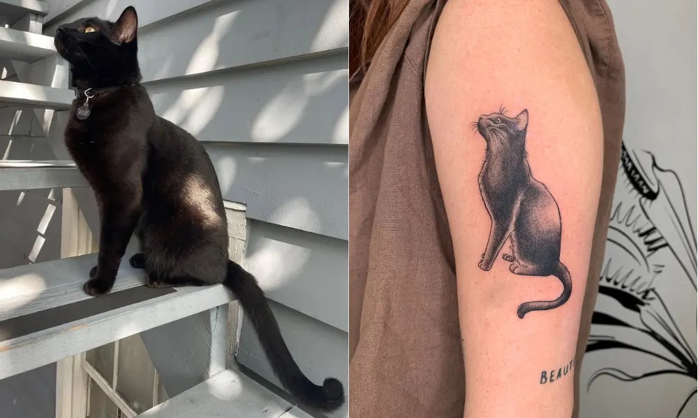 cat tattoo side by side