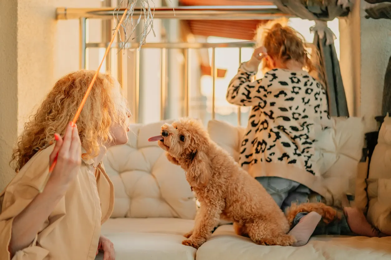 Family plays with dog on couch