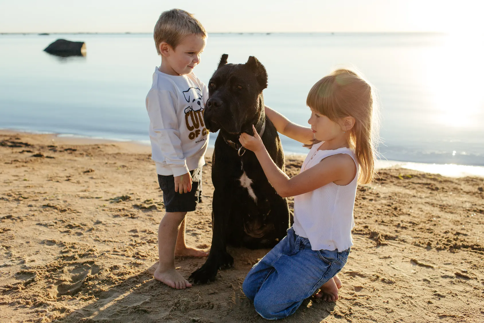 Two kids petting Cane Corso dog on the beach