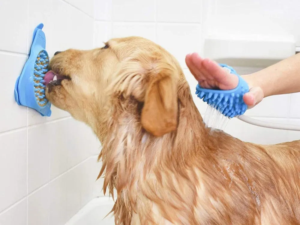 dog licks peanut butter off lick mat in shower