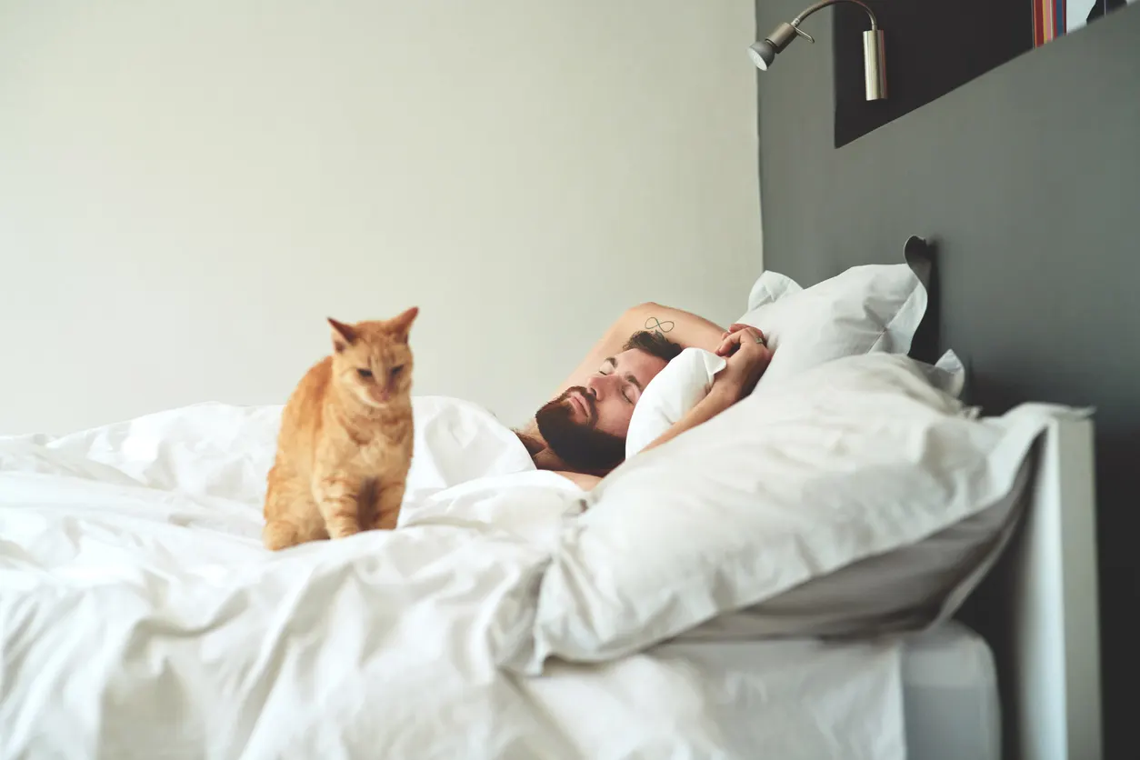Man and cat in bed in hotel