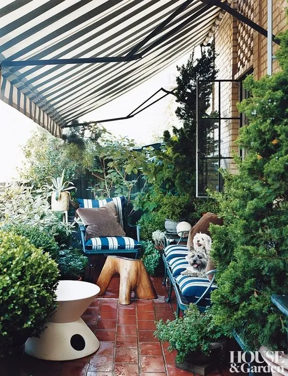 dog sitting on patio with shade