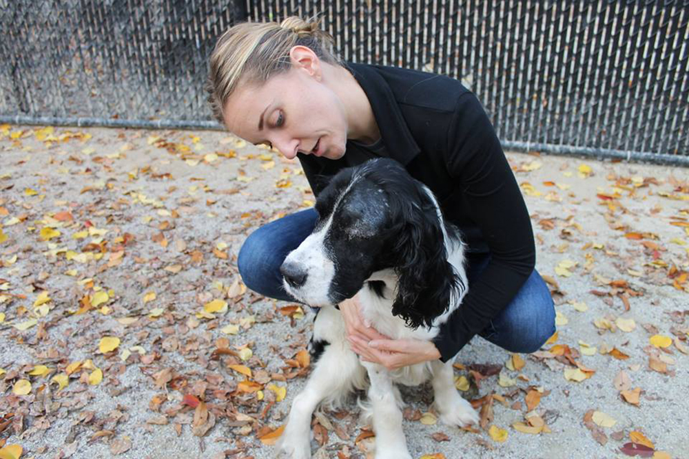 Interview with Gillian Kocher, Pennsylvania SPCA