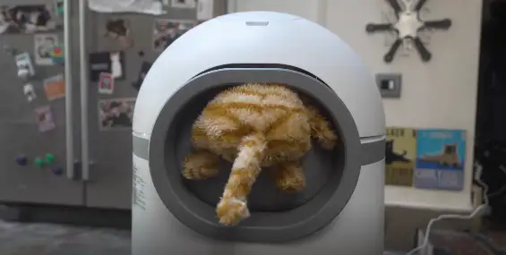 fake cat stuck in self-cleaning litter box