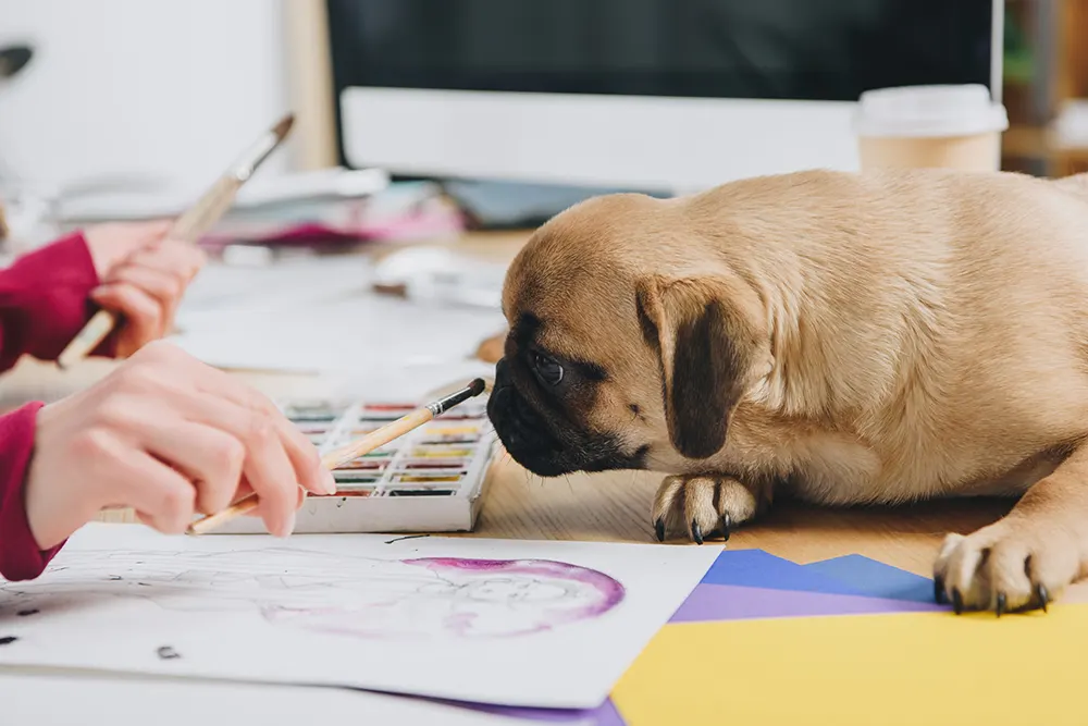 Art supplies can poison pets