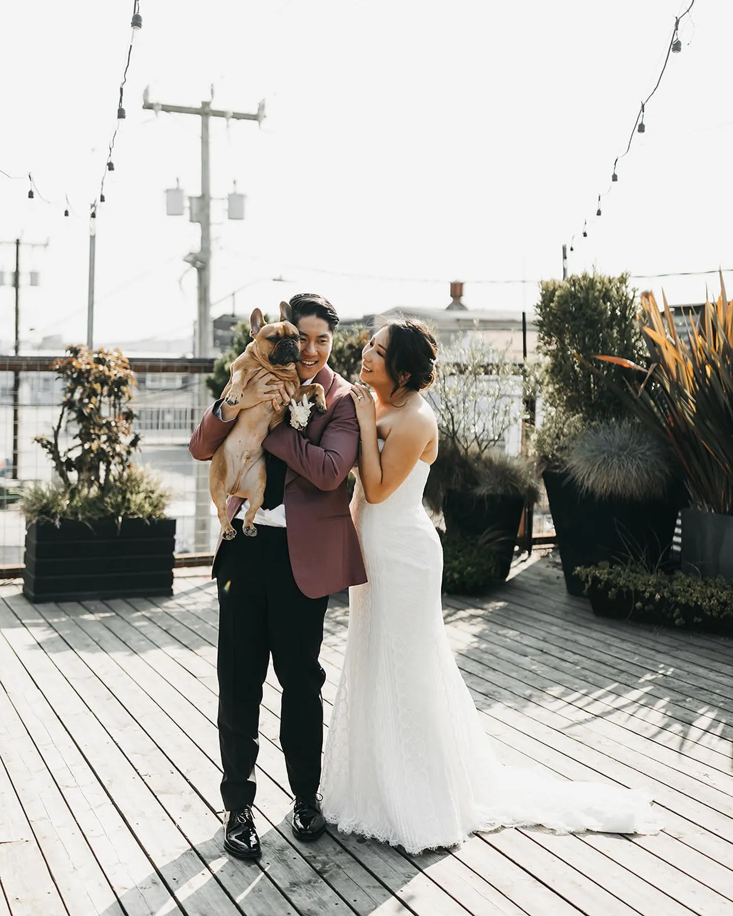 Married couple holding pet for wedding photos