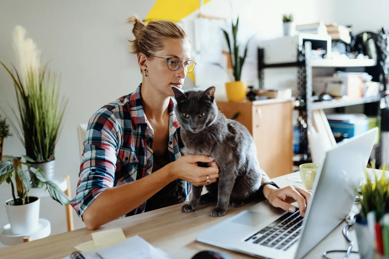 woman sitting at laptop with cat on table