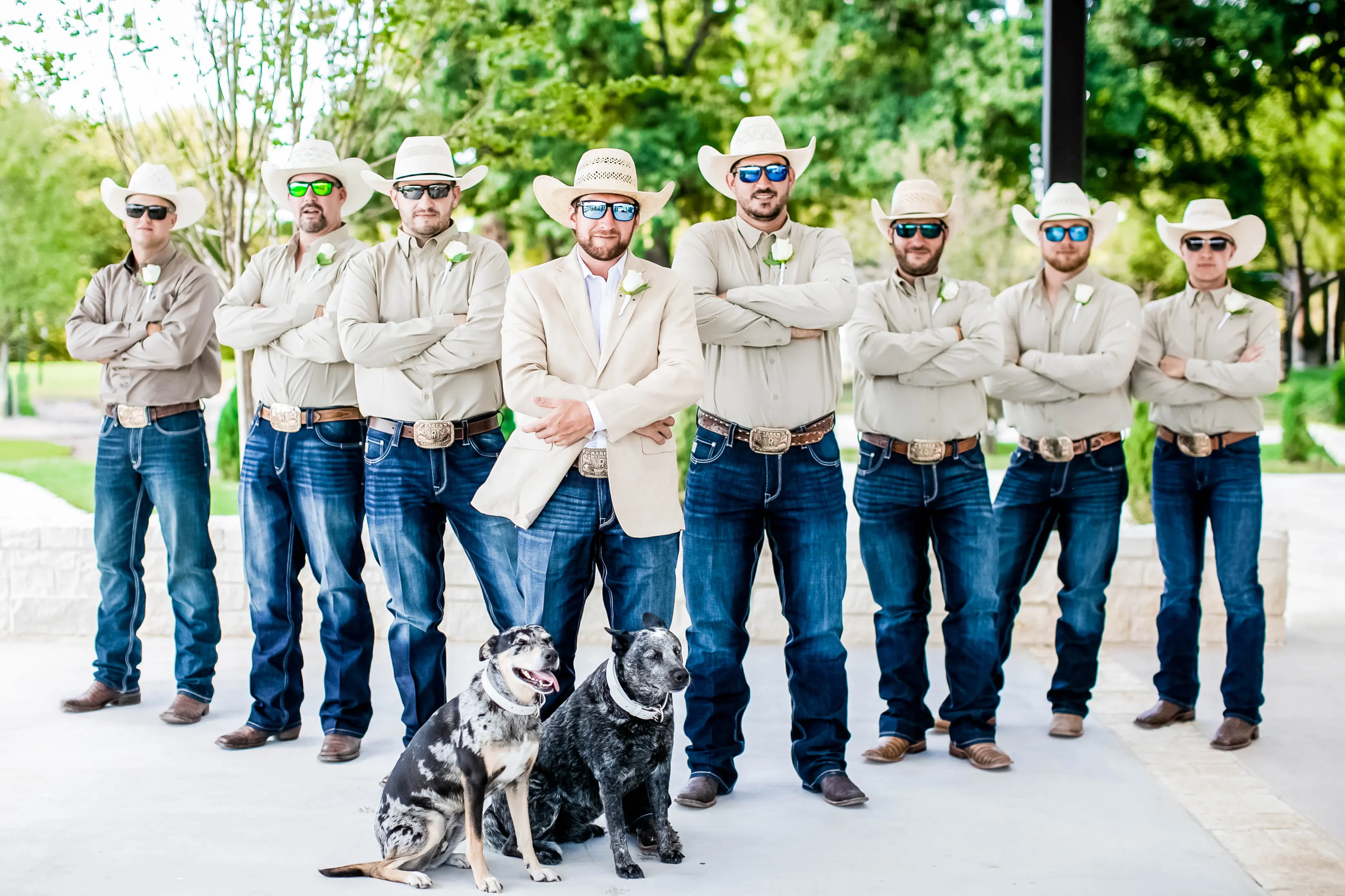 groomsmen posing with two dogs