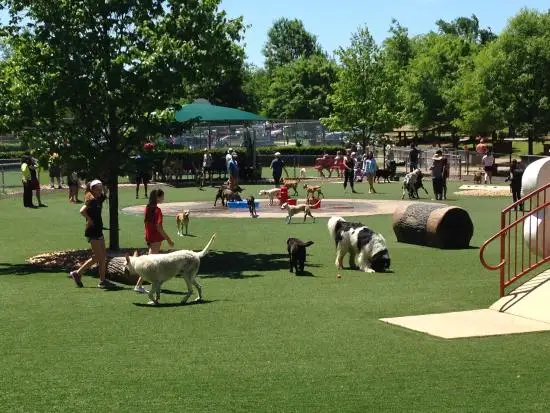  Newton Dream Dog Park in John’s Creek, GA