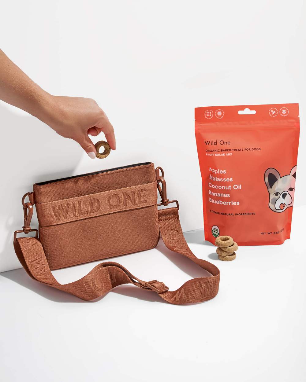 treat pouch for dog owners