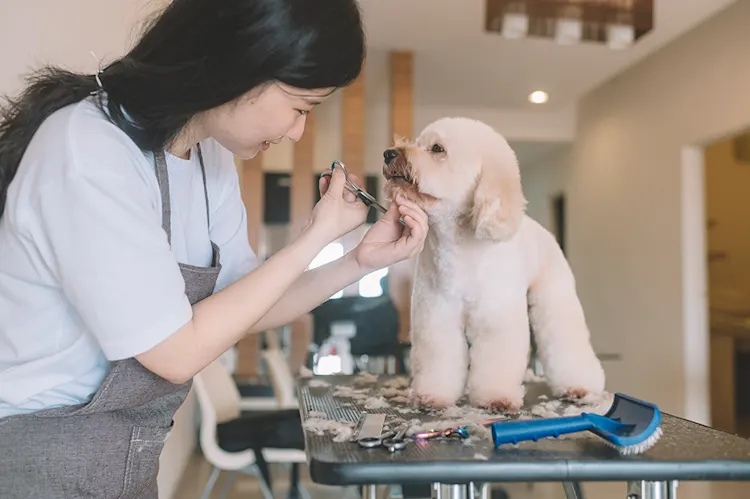 Tips for pet groomers on keeping clients happy