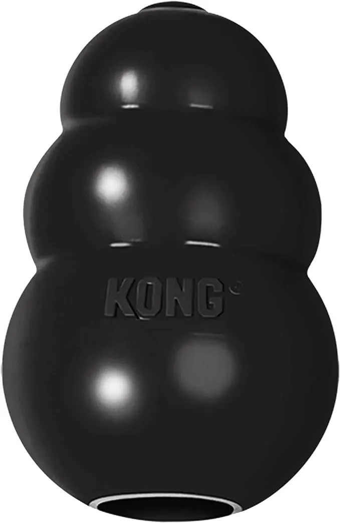 kong toy