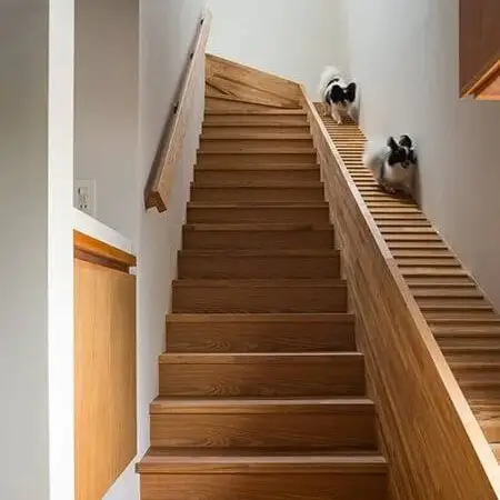 dog stairs