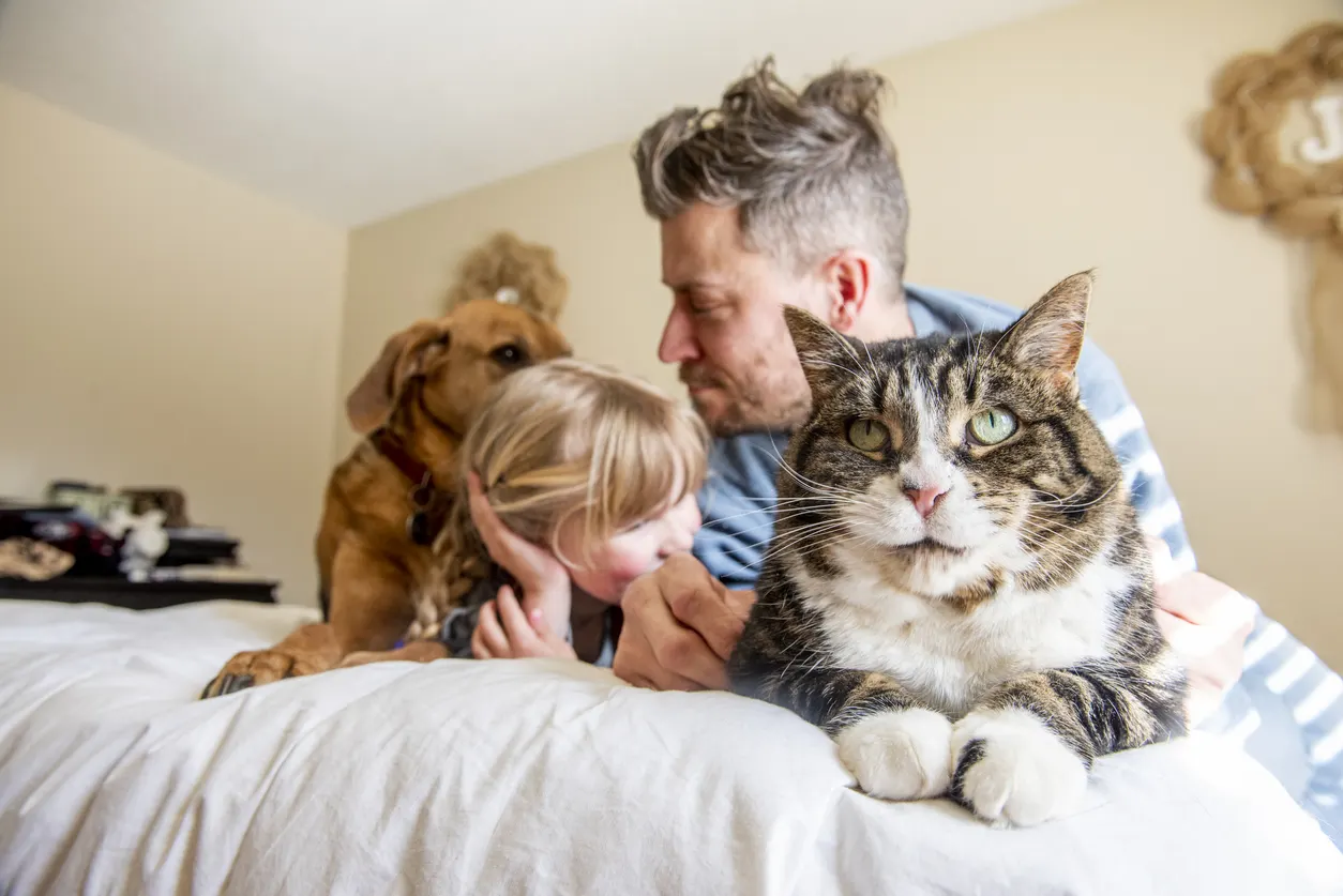 cat and dog on bed with dad and daughter