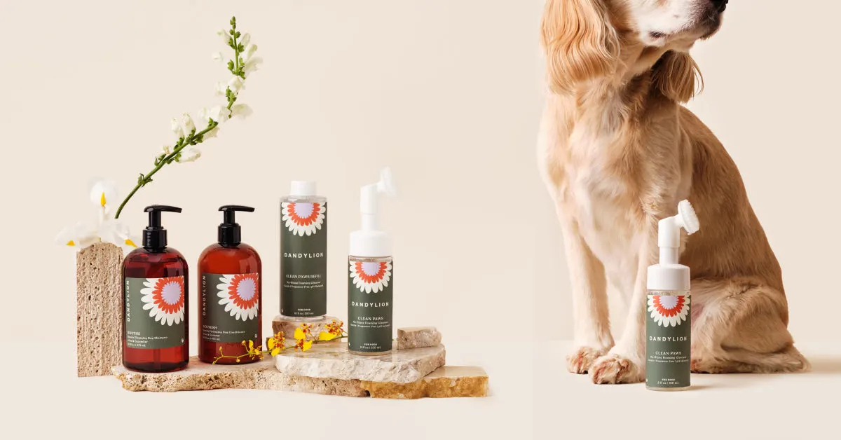 pet paw cleaners and products with dog