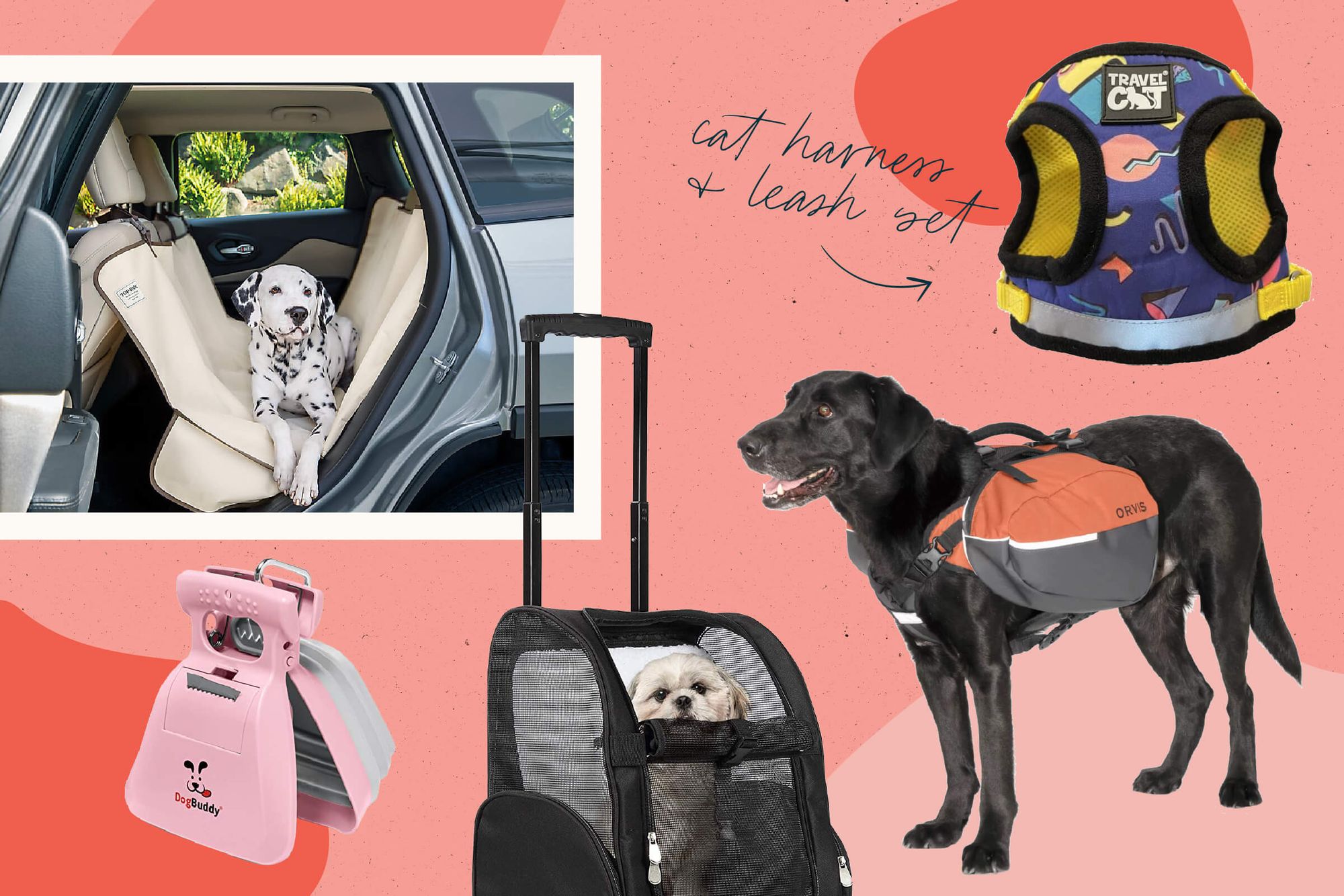 28 Gifts Any Pet (and Pet Parent) Will Love - Fashionista