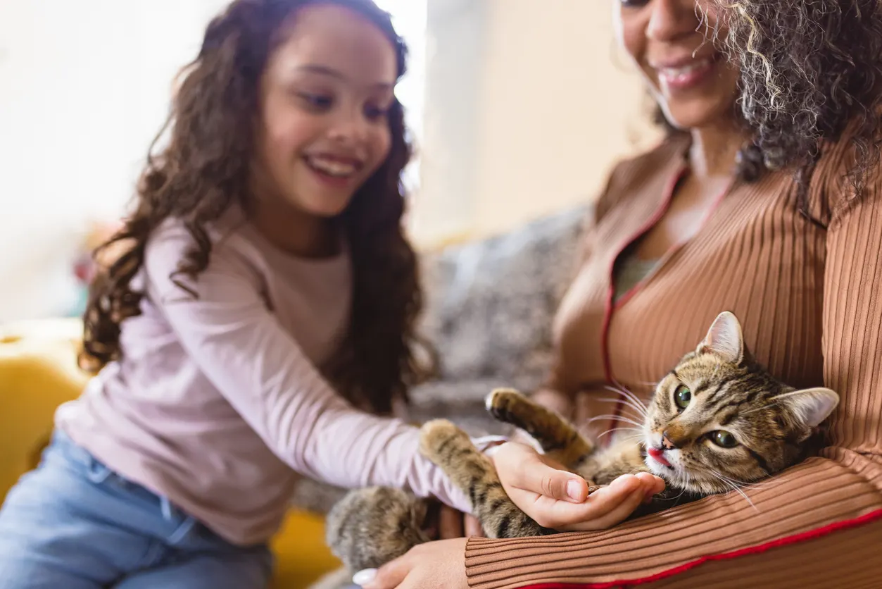 child and woman playing with tabby cat