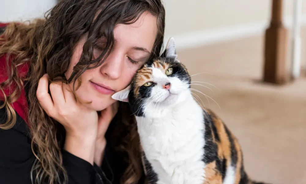 Tips for Adopting a Rescue Cat