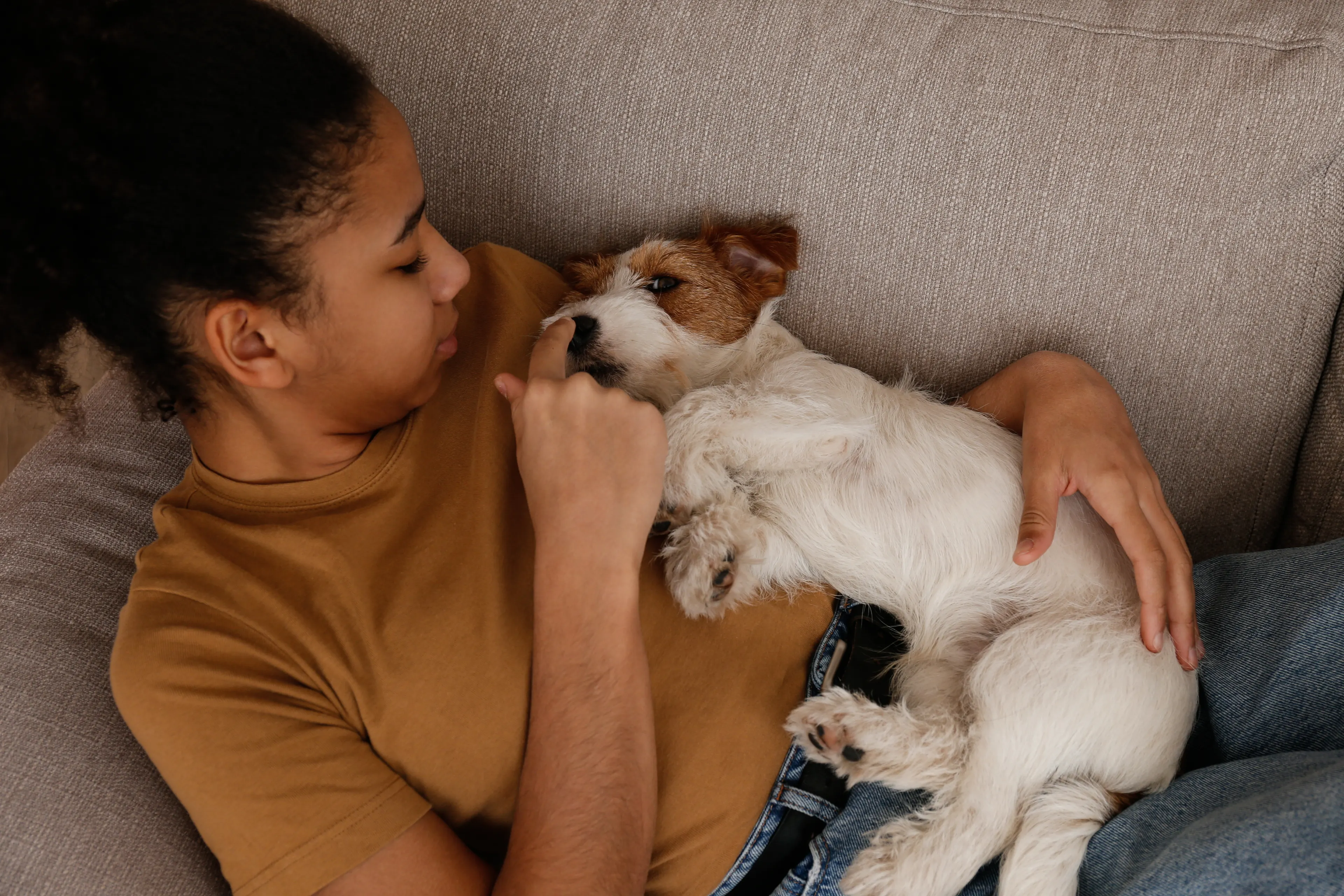 Young woman cuddling Jack Russel Terrier