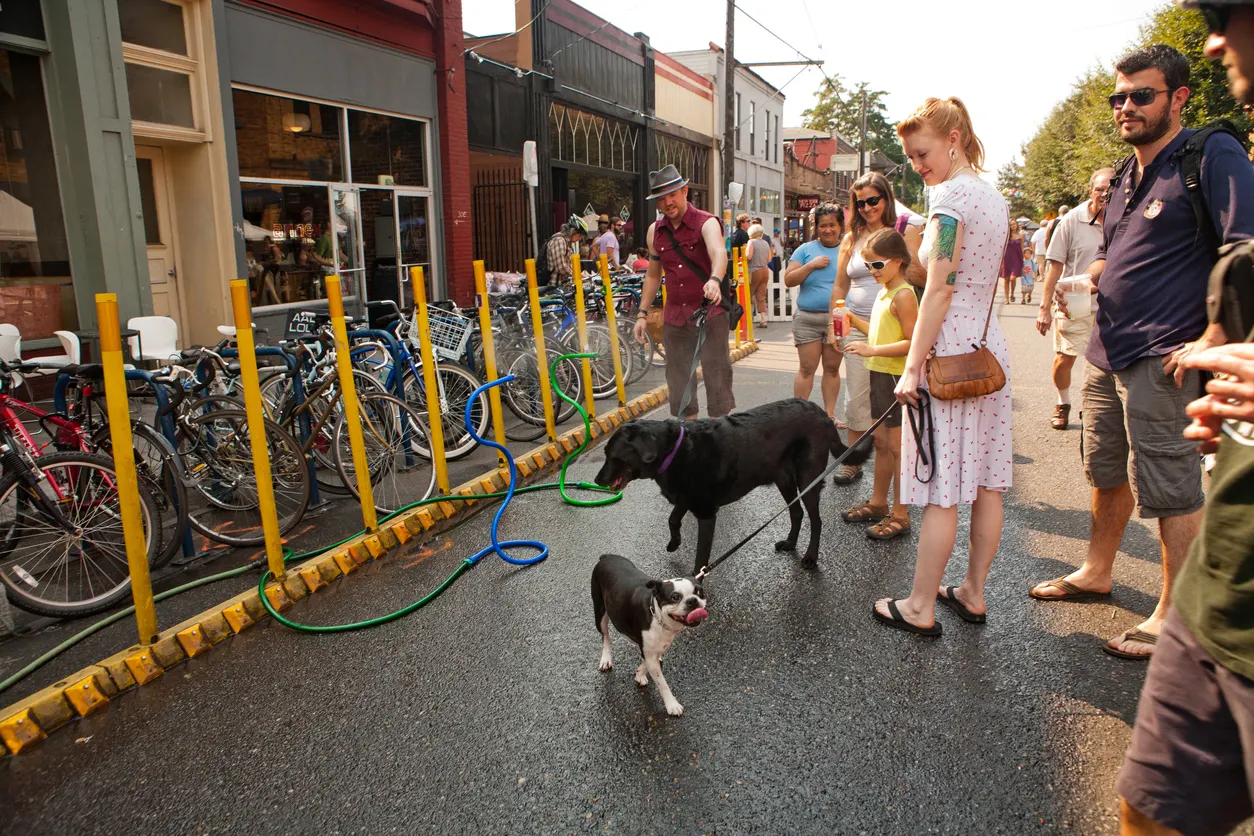 Dogs gathered in Portland Oregon