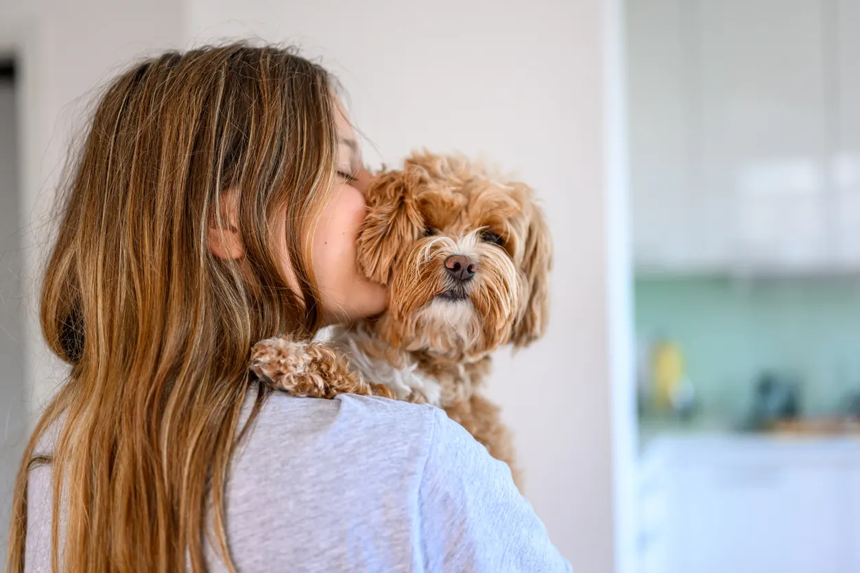 woman holding and kissing maltipoo dog