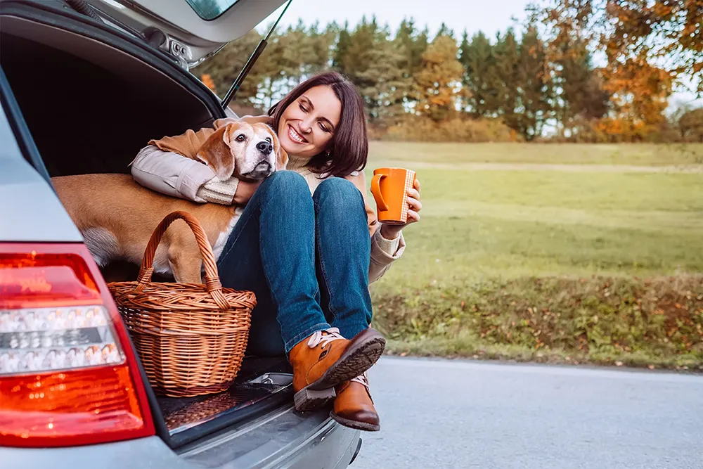 Holiday travel with your pet