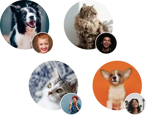 Pets and their owners