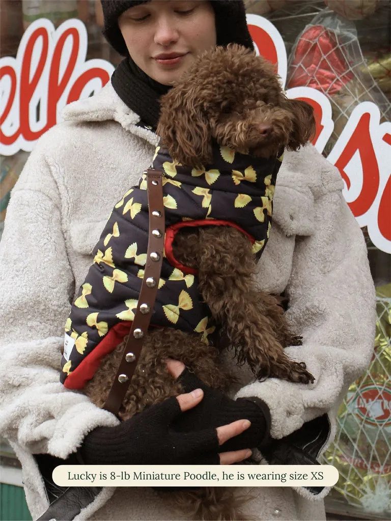 woman holding dog in puffer jacket