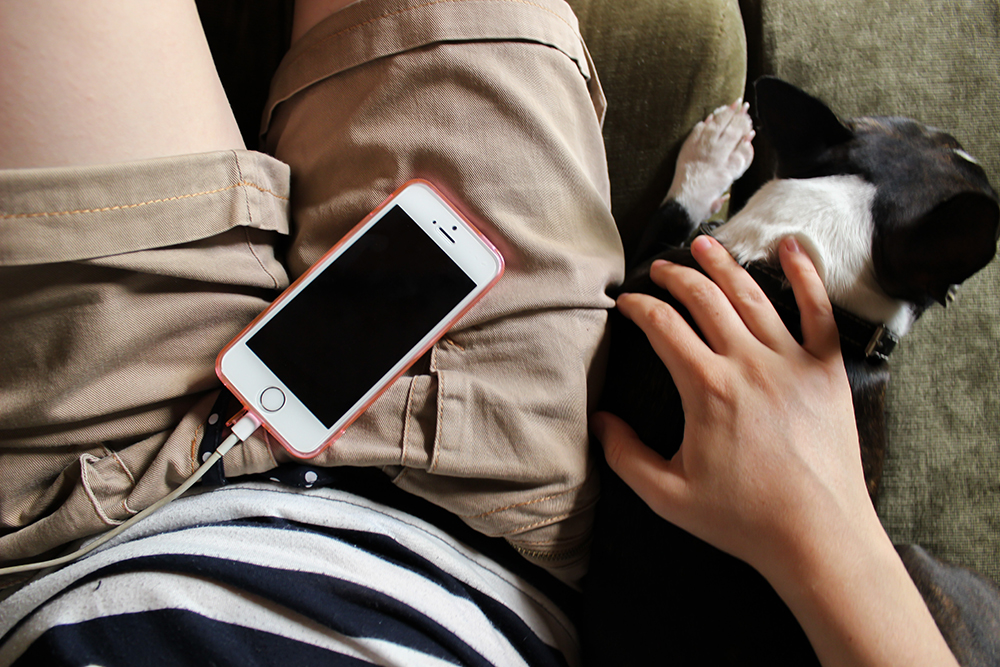 10-handy-pet-apps-for-pet-parents