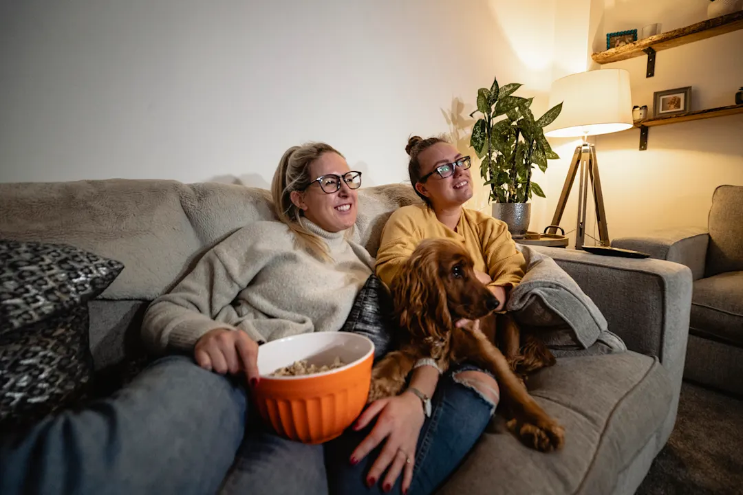 Deep Dive Into World Of Dog Tv Tips for Pet Parents