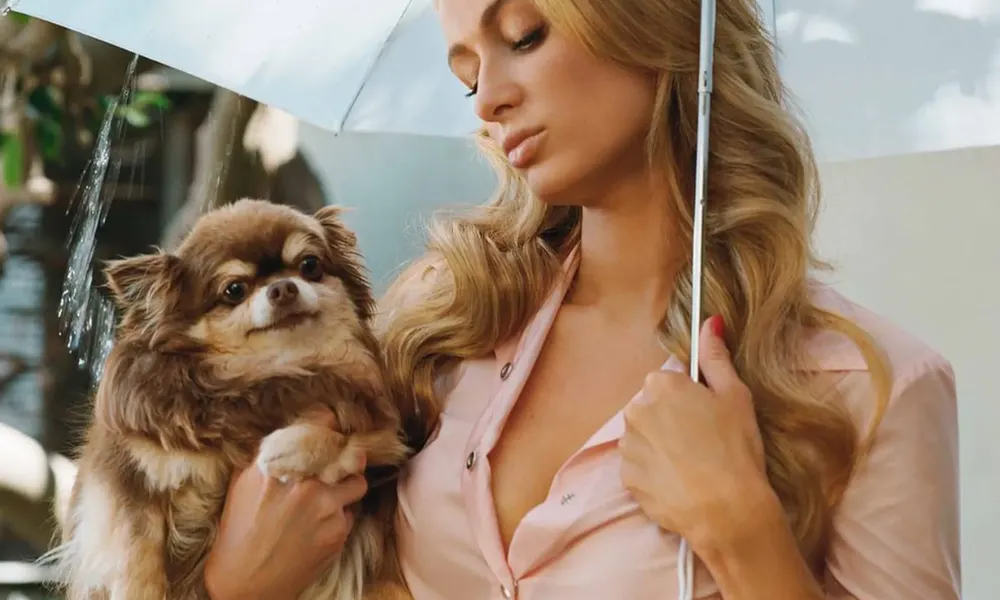 Paris hilton with her dog