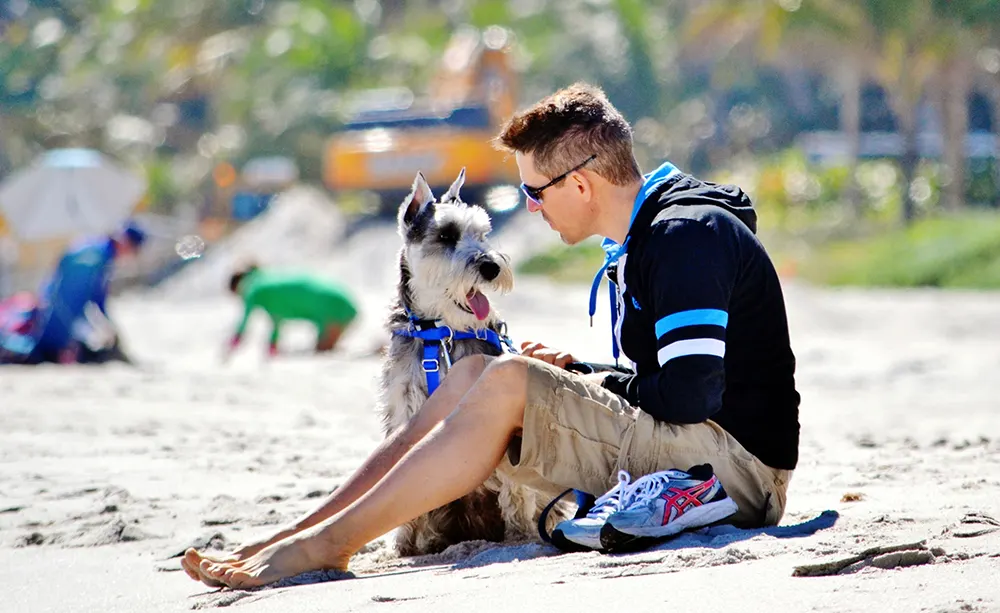 Roam: The best dog friendly beaches for summer fun