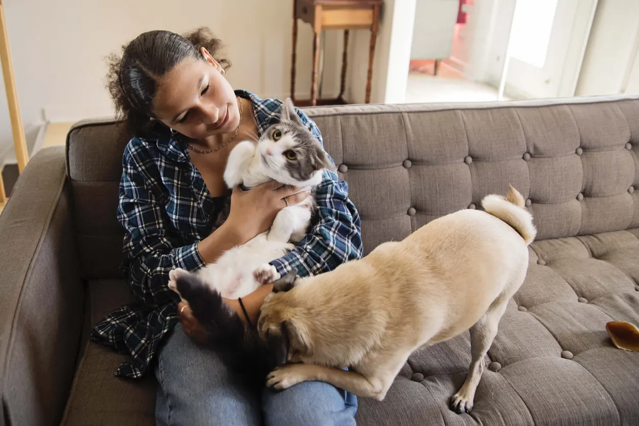 woman letting cat and dog greet on couch