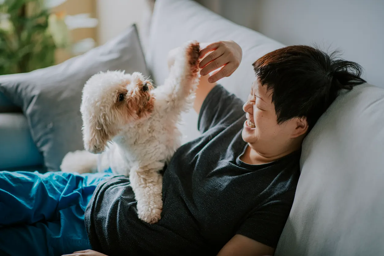 woman and dog play on couch